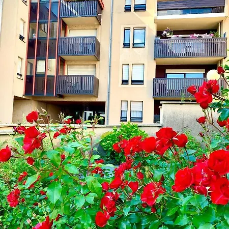 L'appart Moulin Des Thermes Appartement Metz