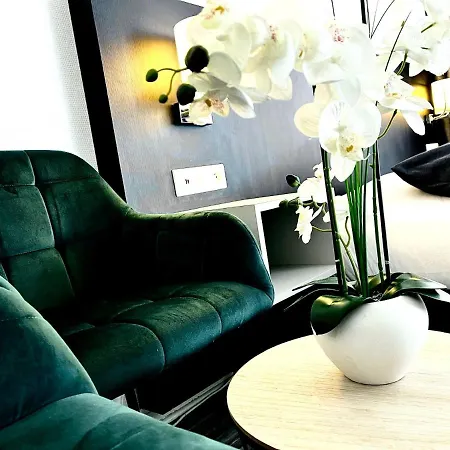 L'appart Moulin Des Thermes * Metz