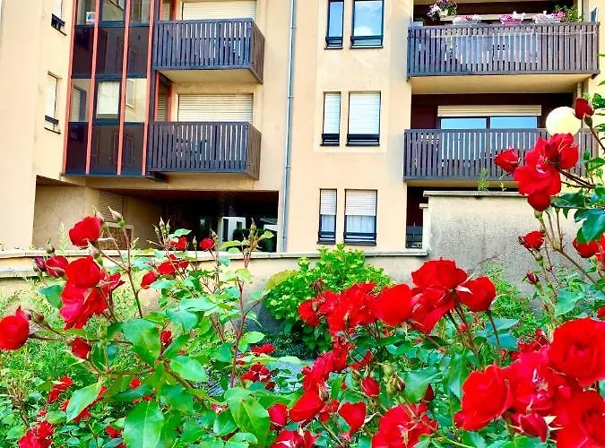 L'appart Moulin Des Thermes Lägenhet Metz