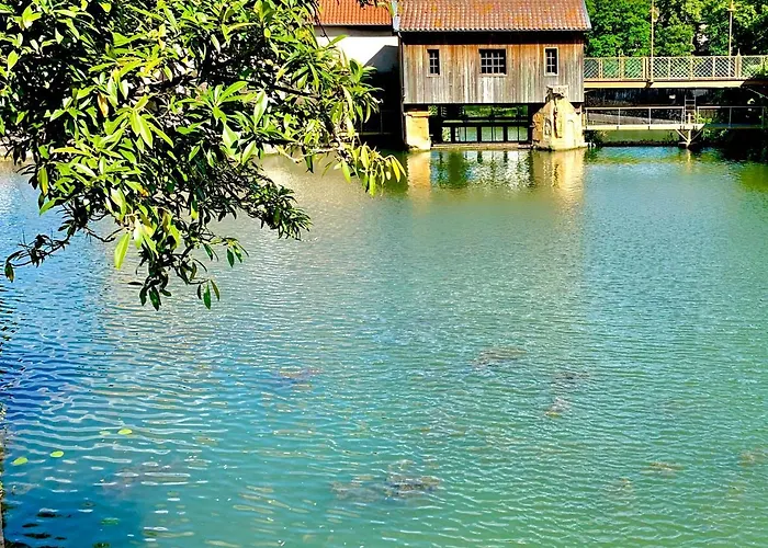 L'appart Moulin Des Thermes