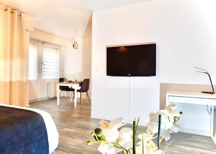 L'appart Moulin Des Thermes * Metz